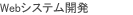 Webシステム開発